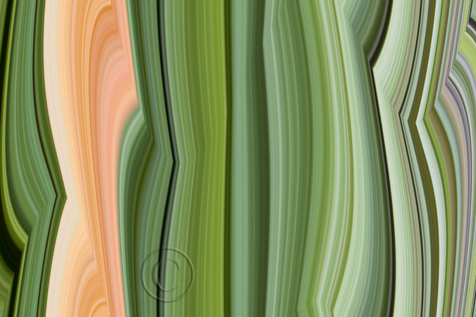FallSeries_7798_02