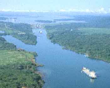4fishing.GIF (58927 bytes)