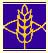 FH logo.JPG (7889 bytes)